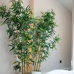 Luxury 1br In Centre * Leeds (West Yorkshire)